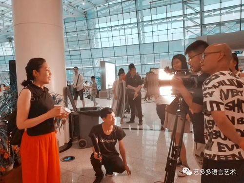 不同明星排练时间,高效与激情的舞台背后
