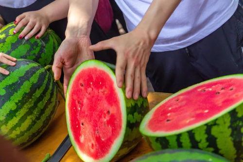 贵妃日日沉迷吃瓜,日日沉迷的宫廷美食之旅