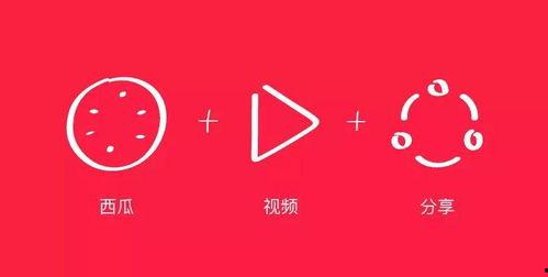 头条与西瓜视频培训机构,揭秘短视频内容创作与运营的实战秘籍