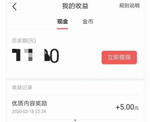 头条城市达人短袖,头条城市达人短袖，夏日必备单品