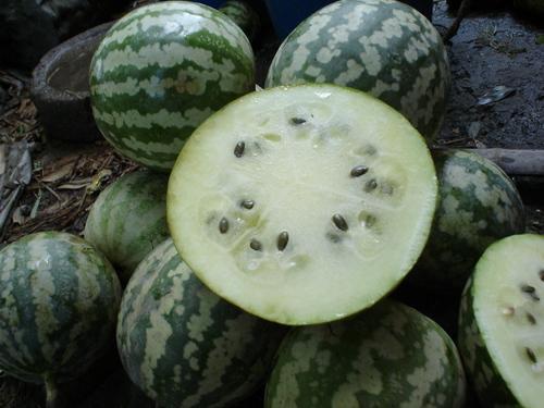 绿宝瓜什么季节吃,夏季清凉解暑的天然美味