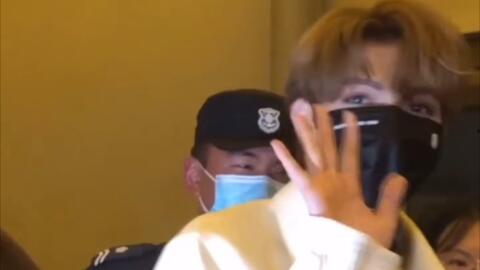 明星爆料狗腿视频播放大全,明星爆料背后的娱乐真相揭秘