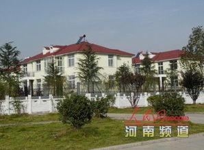 罗山县丰台镇新闻头条