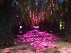 大邑网红歌,唱响山水间，魅力无限传