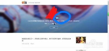 怎么查询头条自己的领域