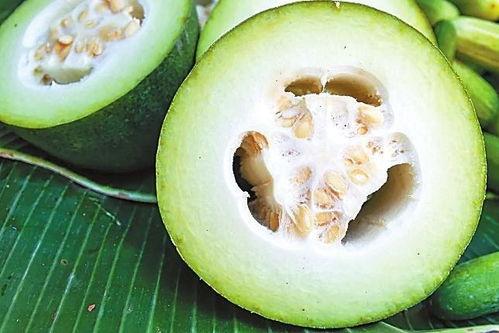 穿越古代系统吃瓜,系统吃瓜，笑看风云变幻