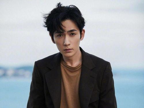 哪个男明星火,揭秘男明星的崛起之路