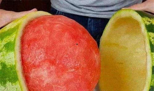 迪拜如何吃瓜,品味奢华中的夏日清凉瓜果时光