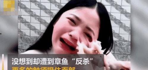 明星表演吃活章鱼,明星挑战极限，现场吃活章鱼惊心动魄