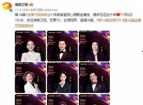 流量明星金鹰奖,荣耀时刻见证辉煌成就