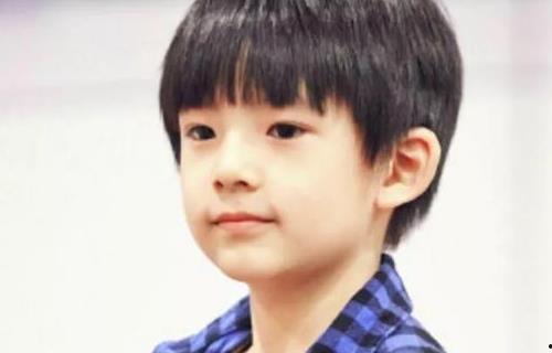 明星的孩子简介,明星子女们的成长故事