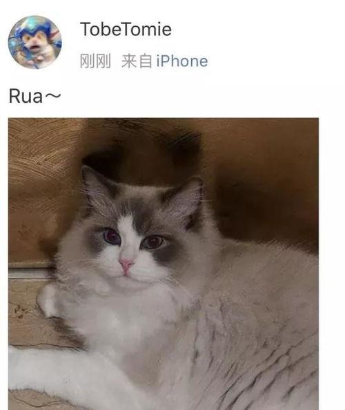 热带鱼cp圈内人爆料,幕后故事大揭秘！