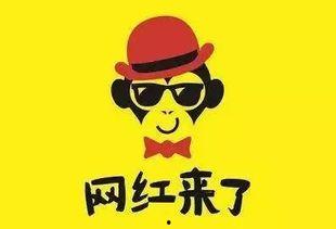 网红炒作方式,流量背后的秘密