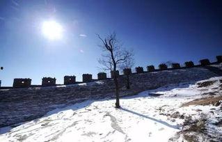 落雪吃瓜唐,唐代的市井生活画卷