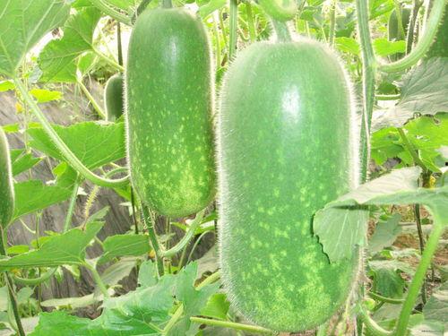 ccgg今日吃瓜最新,揭秘娱乐圈最新热点事件