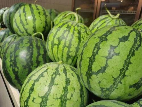 顶流吃瓜局,一场星光熠熠的八卦狂欢