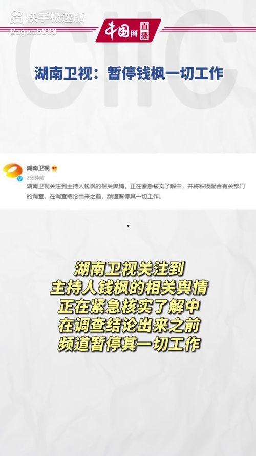 娱乐圈吃瓜暗语大全图片,吃瓜暗语大揭秘，一图看懂明星圈层话术